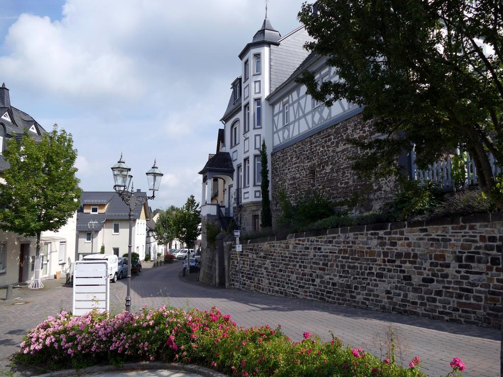Apartments Im Chateau D'Esprit Höhr-Grenzhausen Eksteriør billede